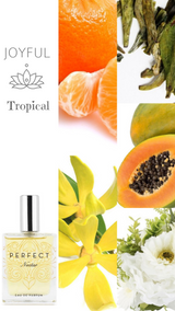 Perfect Nectar Gift Set